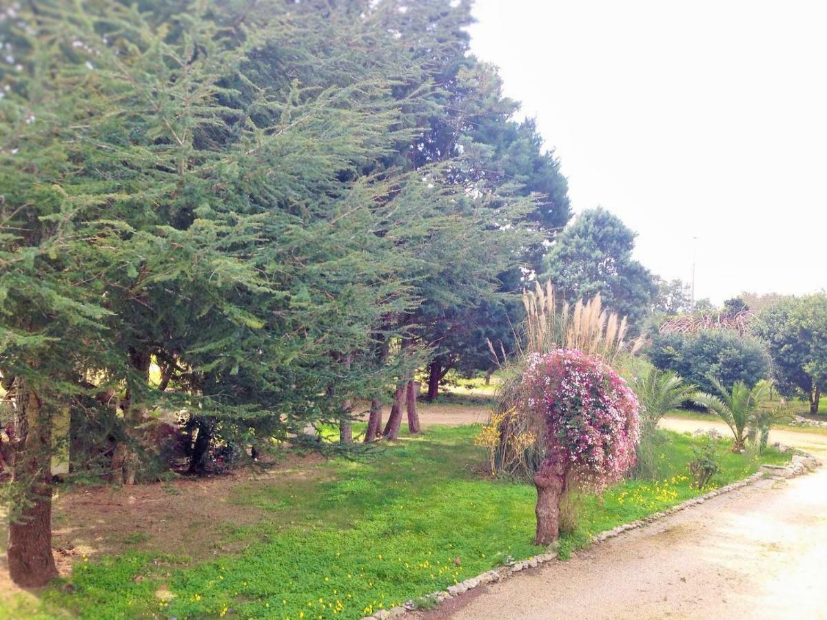梅伦杜尼奥La Macchia住宿加早餐旅馆 外观 照片